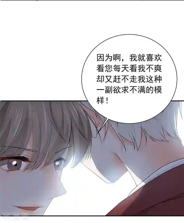 宠物情缘第15话 泡男人