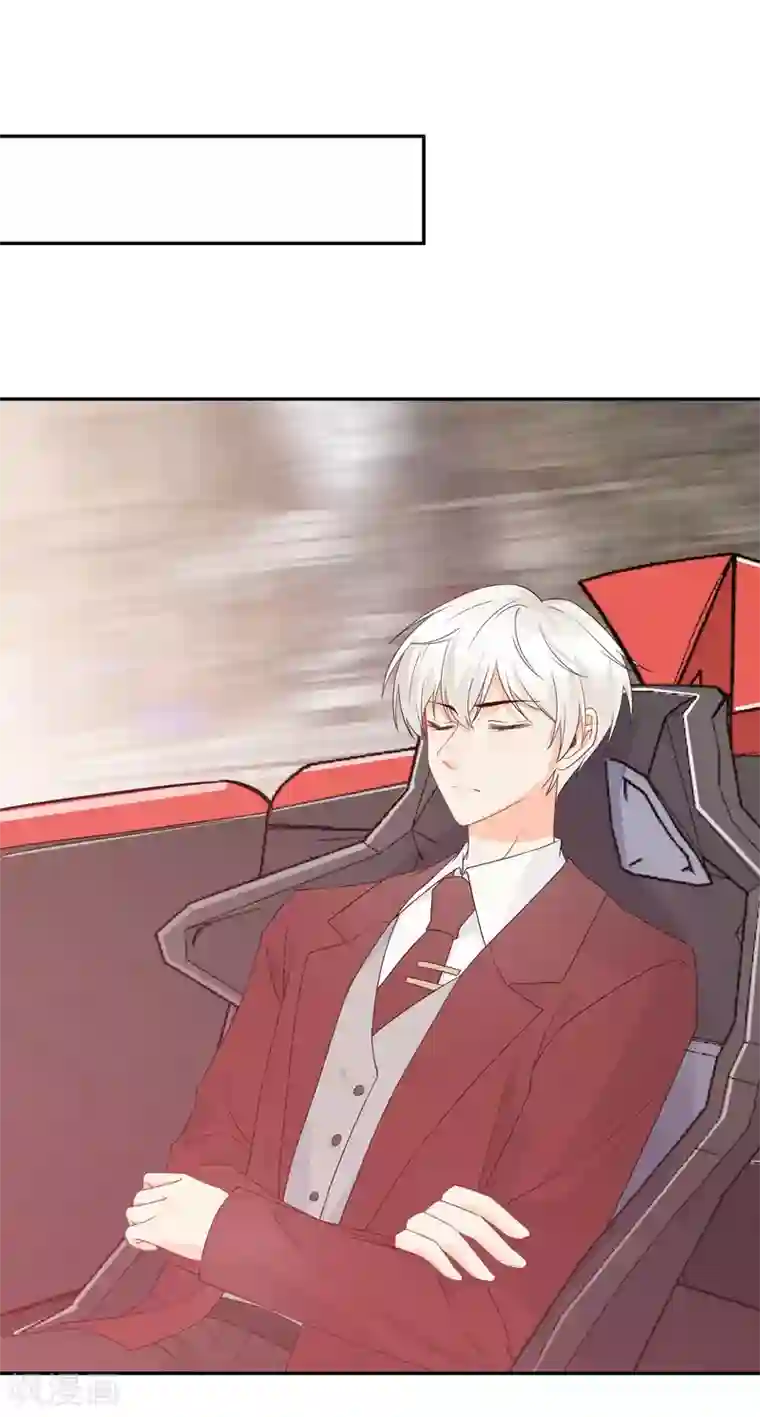 宠物情缘第17话 36D小姐姐