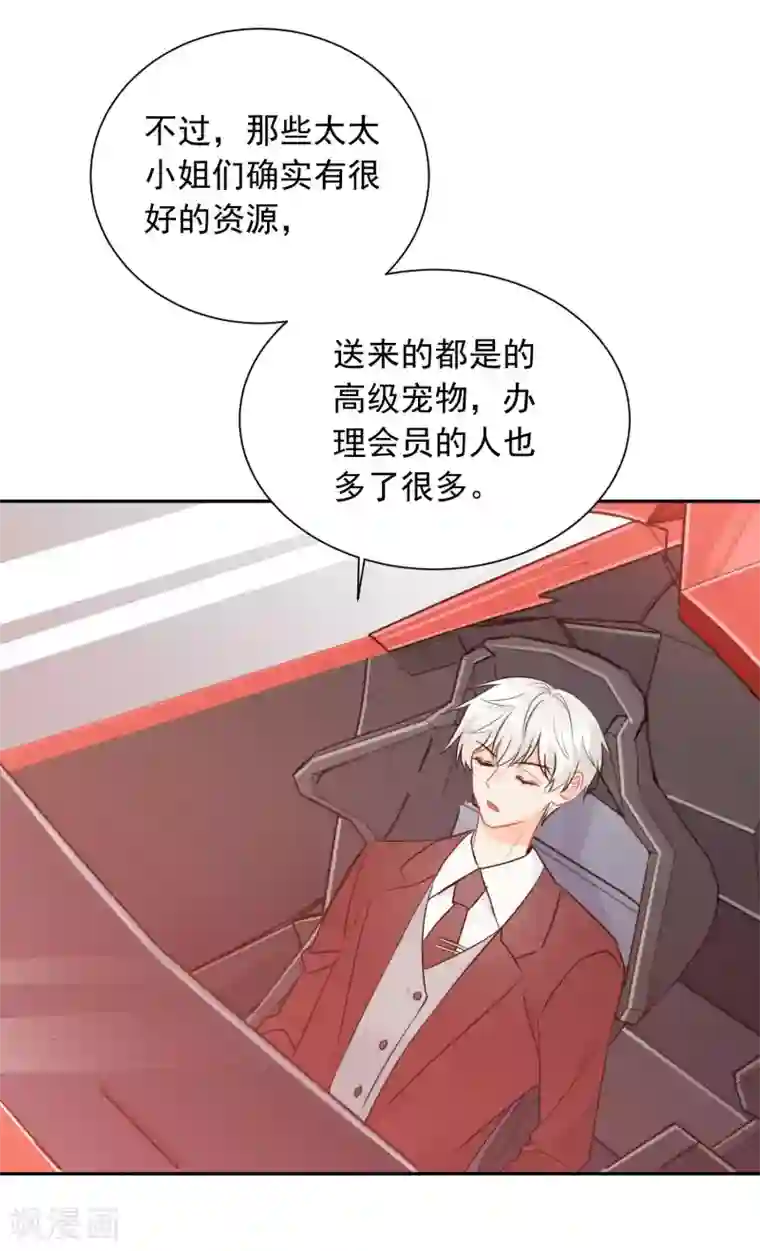 宠物情缘第17话 36D小姐姐