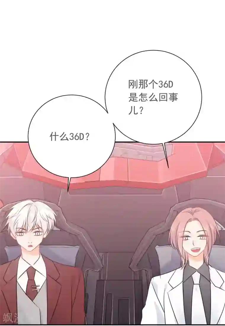 宠物情缘第17话 36D小姐姐