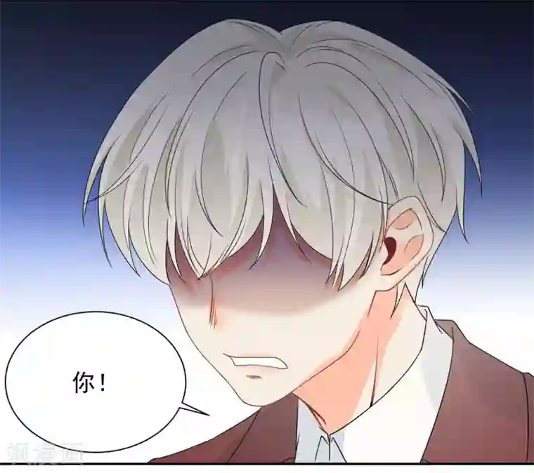 宠物情缘第17话 36D小姐姐