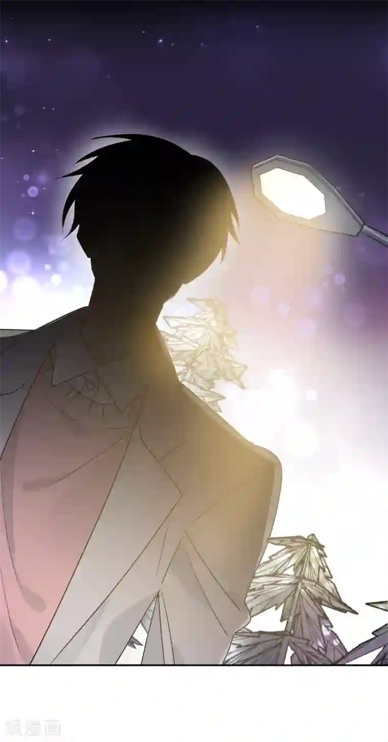 宠物情缘第20话 夜色醉人