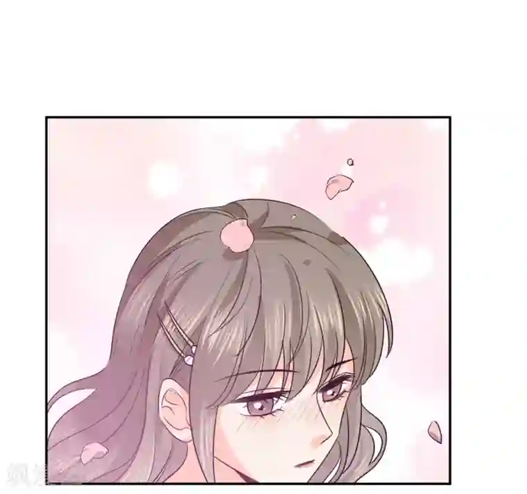 宠物情缘第20话 夜色醉人