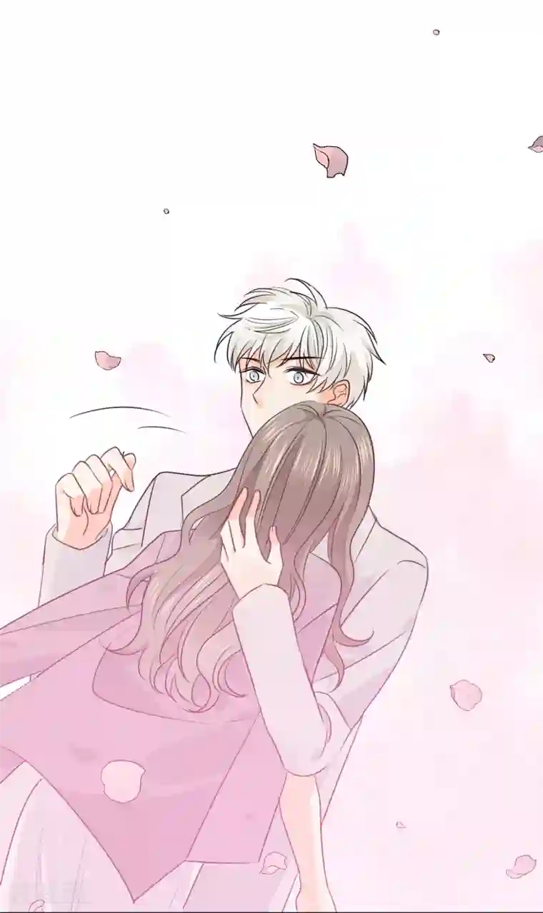 宠物情缘第20话 夜色醉人