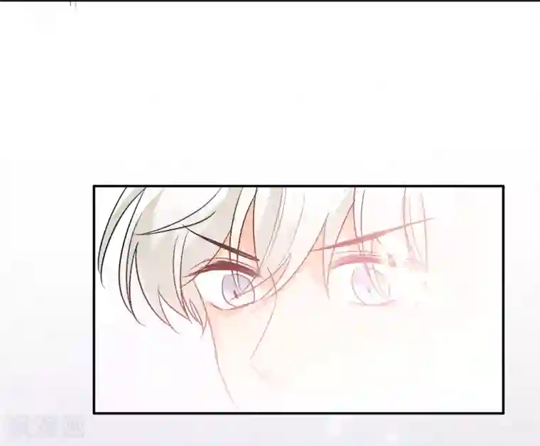 宠物情缘第20话 夜色醉人