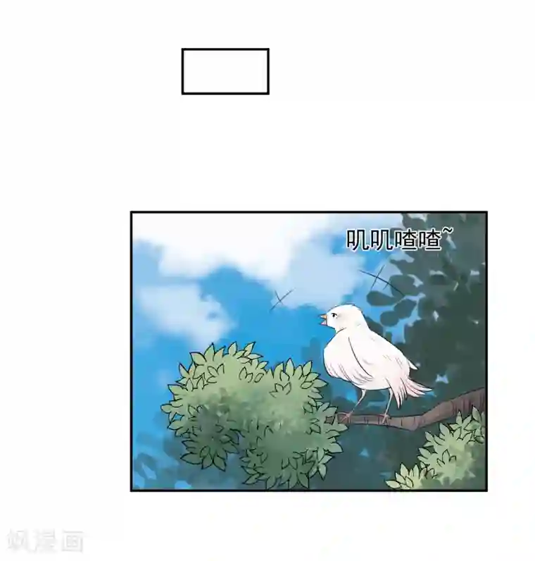 宠物情缘第22话 他带我回家了……