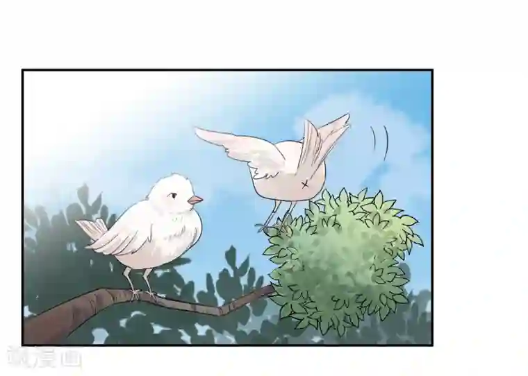 宠物情缘第22话 他带我回家了……