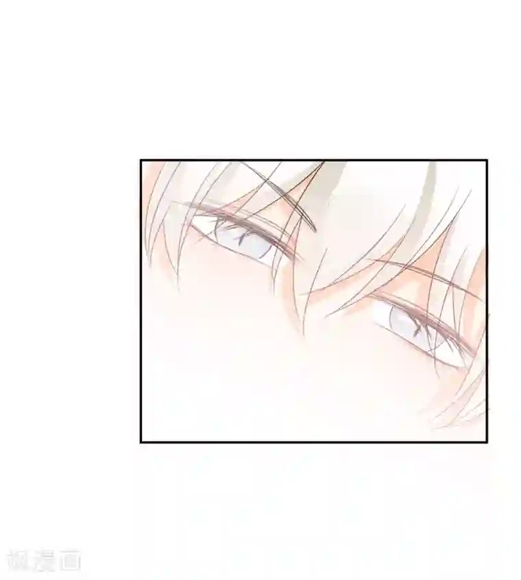 宠物情缘第22话 他带我回家了……