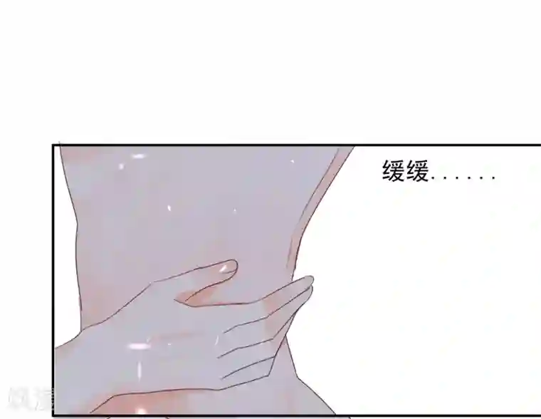 宠物情缘第22话 他带我回家了……