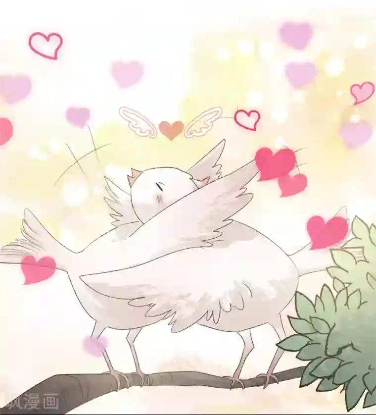 宠物情缘第22话 他带我回家了……