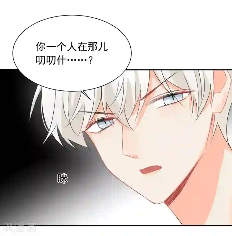 宠物情缘第24话 让人折寿的女人