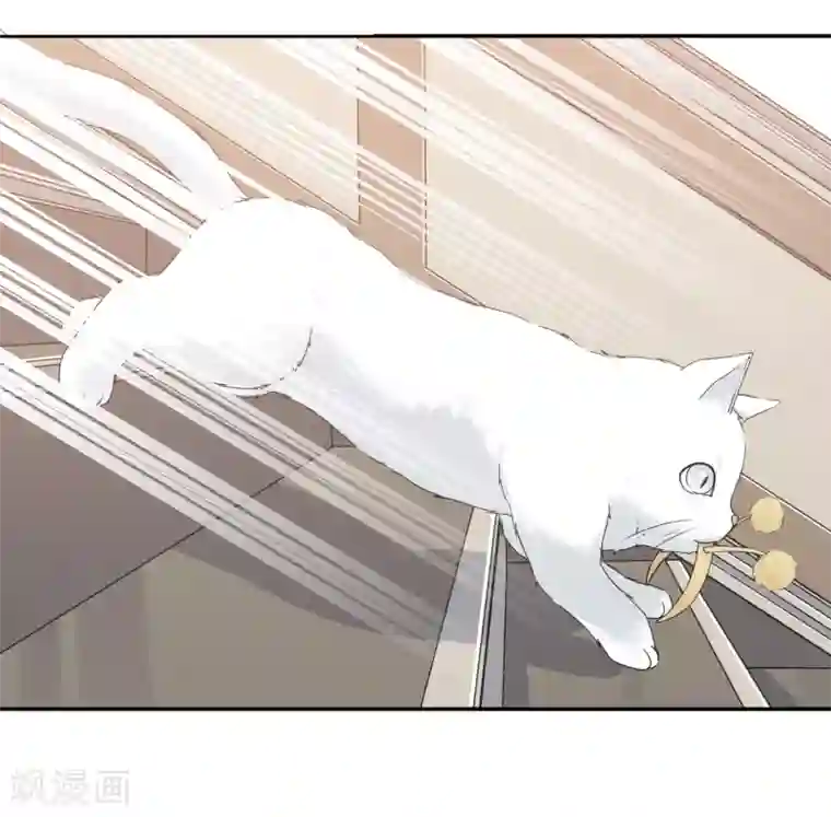 宠物情缘第25话 我能克服你的诱惑！