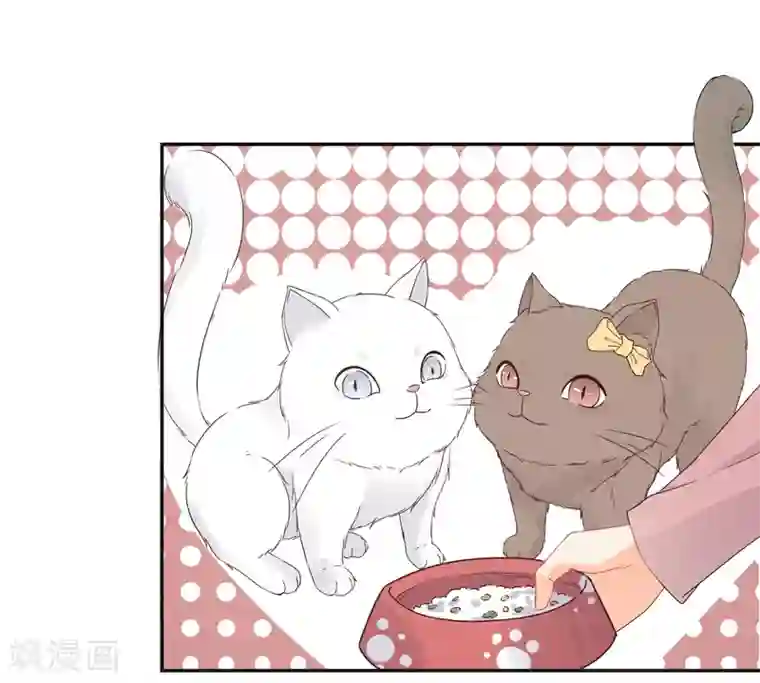 宠物情缘第25话 我能克服你的诱惑！