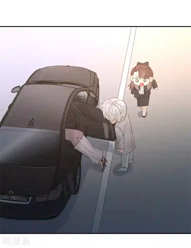 宠物情缘第26话 老板是厨子?