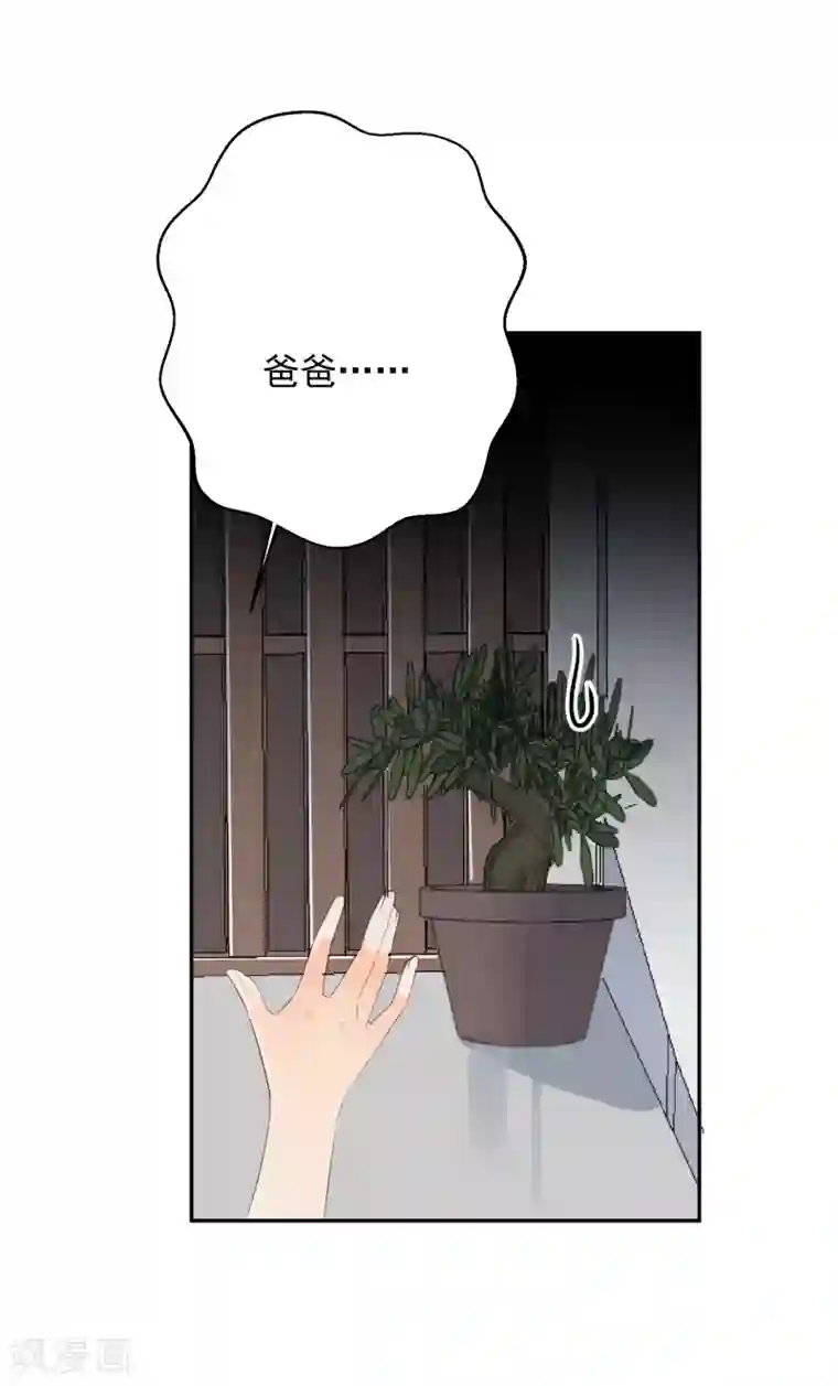 宠物情缘第26话 老板是厨子?