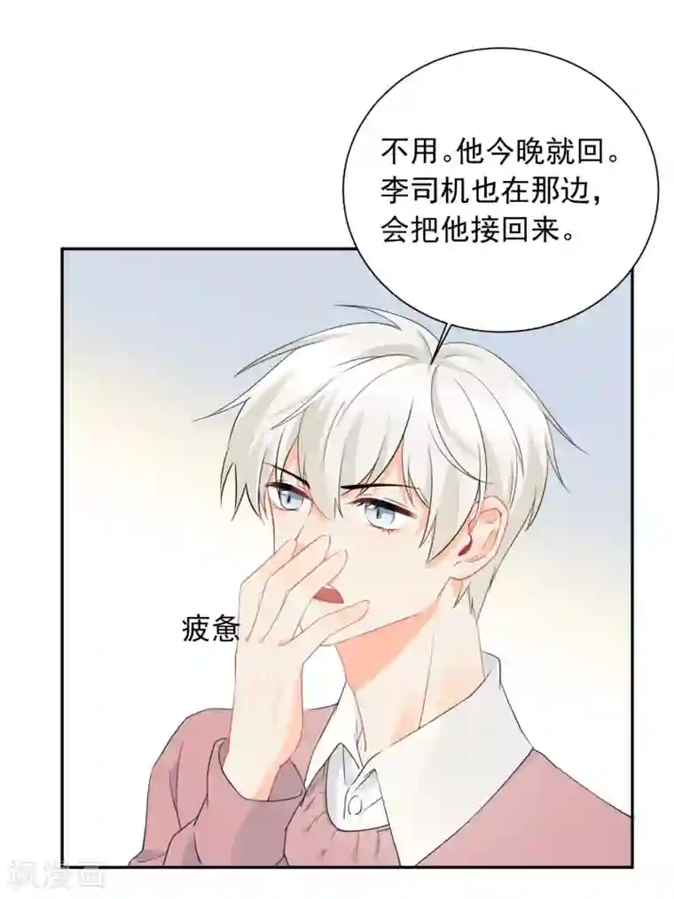 宠物情缘第27话 主动的女人