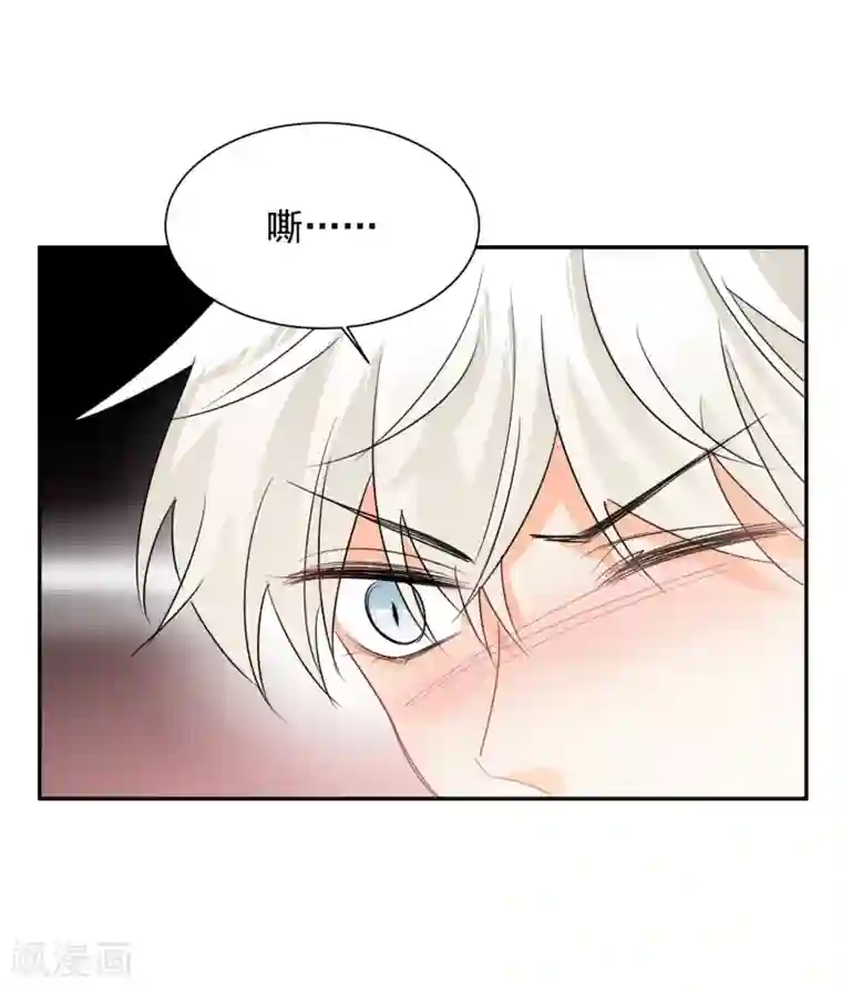 宠物情缘第28话 糟糕，心动了