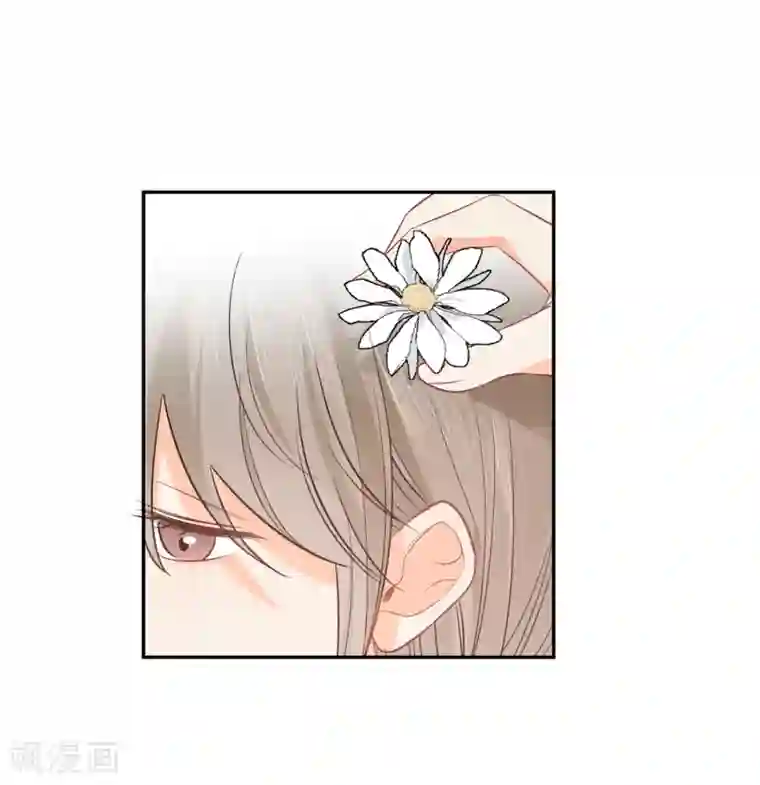 宠物情缘第29话 海边约会？