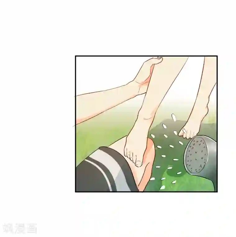 宠物情缘第29话 海边约会？