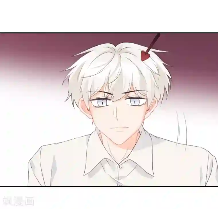 宠物情缘第30话 梦醒时分