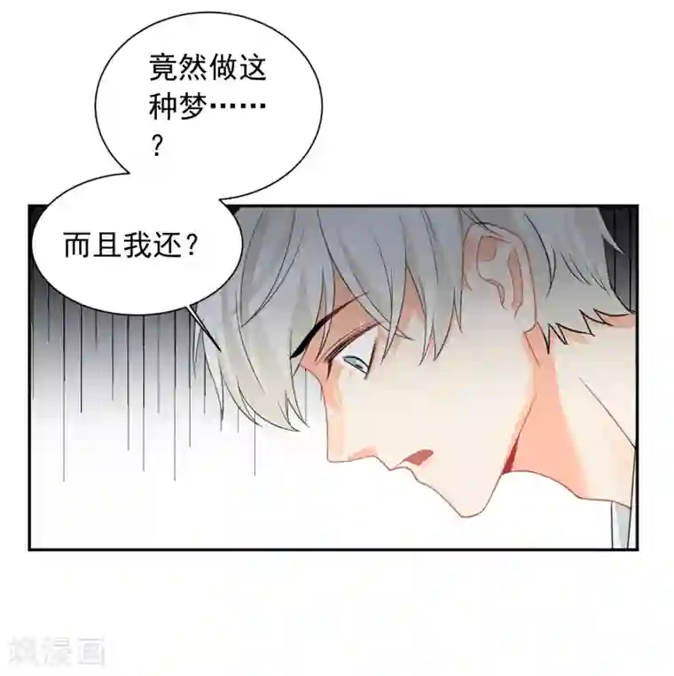 宠物情缘第30话 梦醒时分