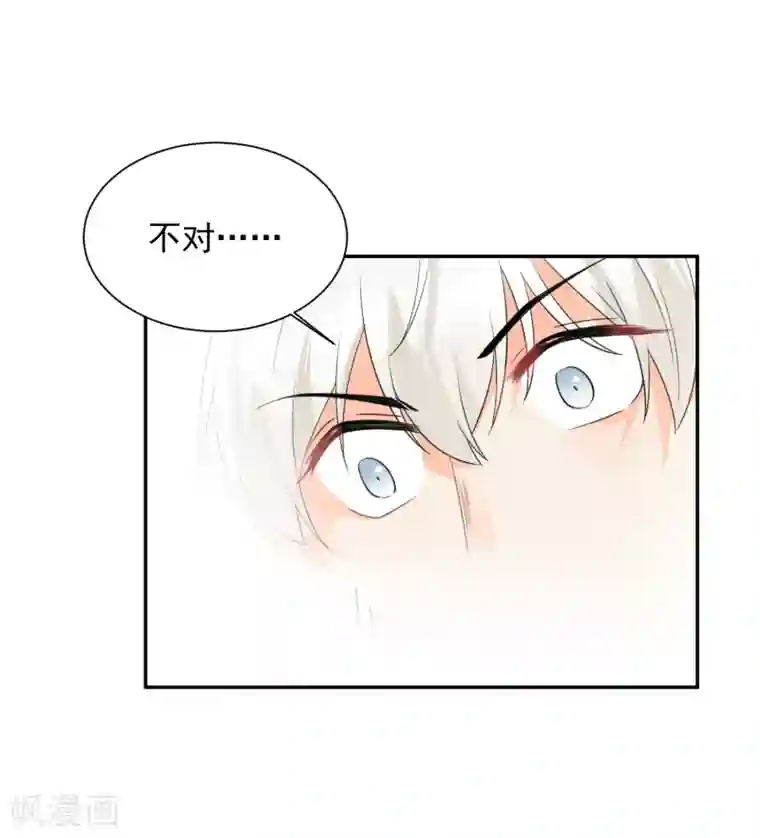 宠物情缘第30话 梦醒时分