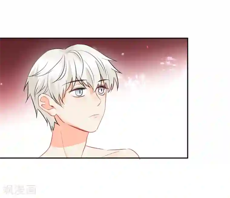 宠物情缘第30话 梦醒时分