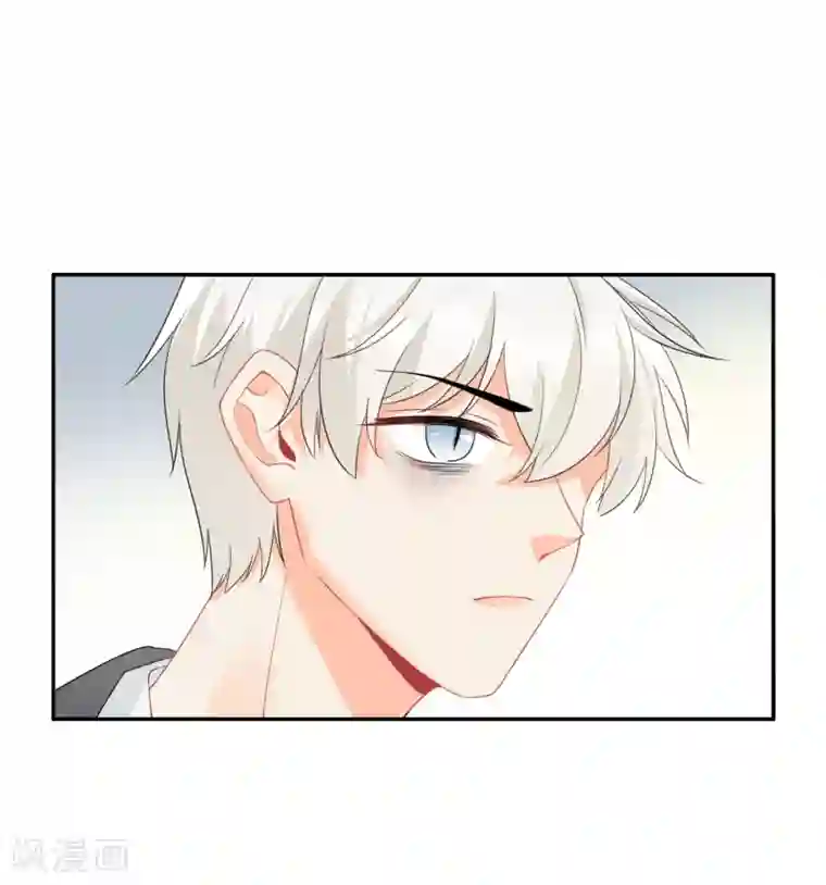宠物情缘第30话 梦醒时分