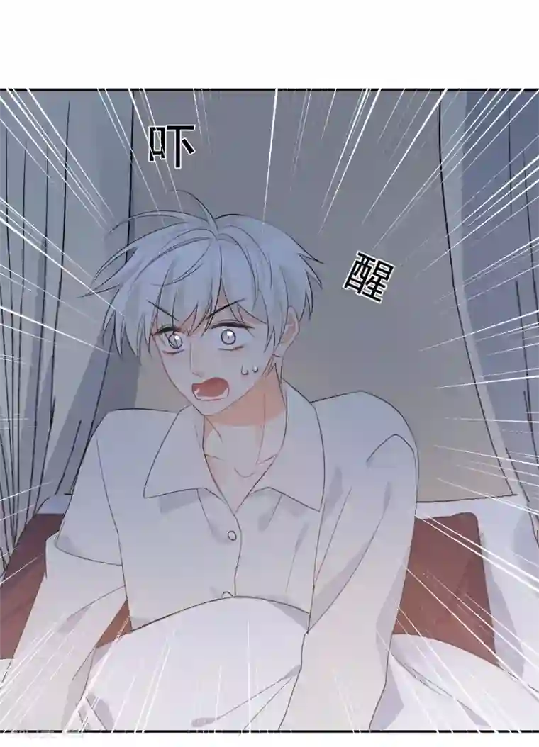 宠物情缘第30话 梦醒时分