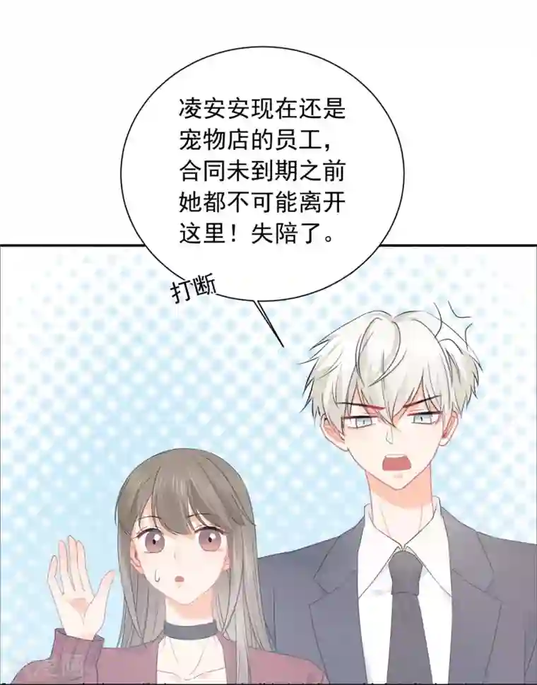 宠物情缘第31话 明抢暗夺
