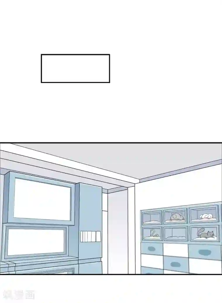 宠物情缘第31话 明抢暗夺