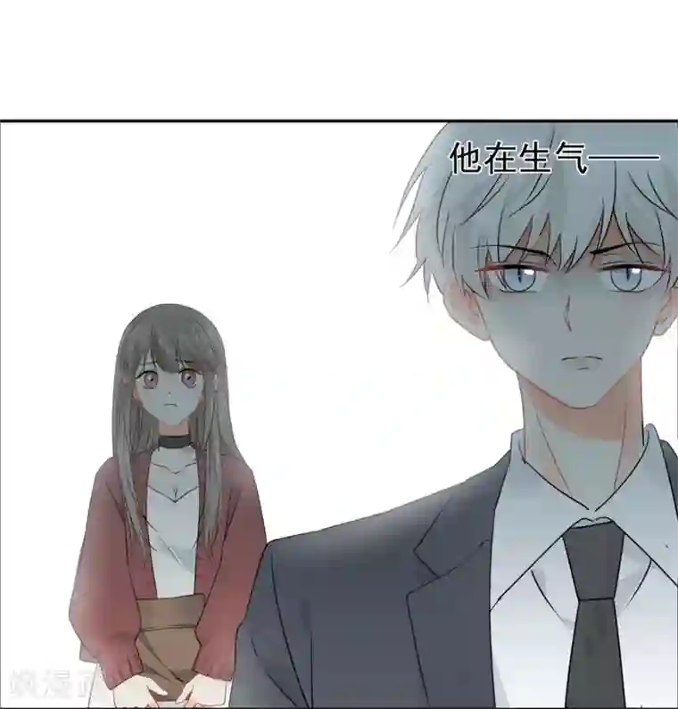 宠物情缘第31话 明抢暗夺