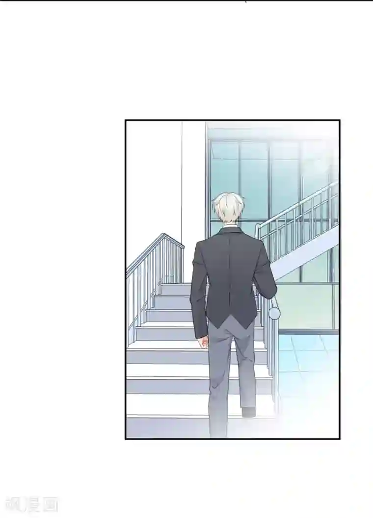 宠物情缘第31话 明抢暗夺