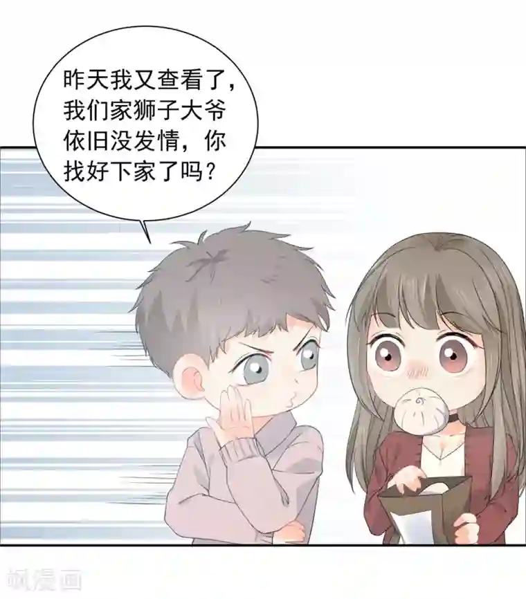 宠物情缘第31话 明抢暗夺