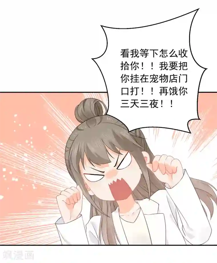 宠物情缘第33话 迷上蠢女人