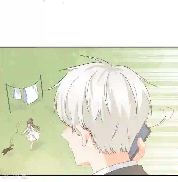 宠物情缘第33话 迷上蠢女人