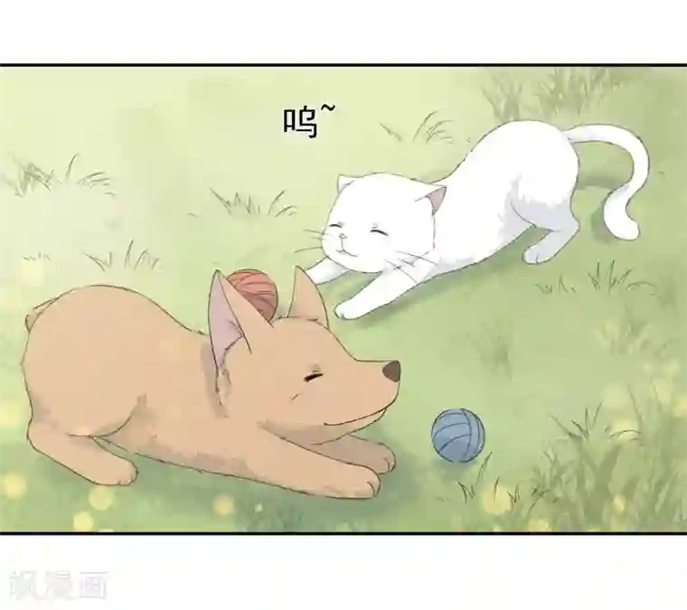 宠物情缘第33话 迷上蠢女人