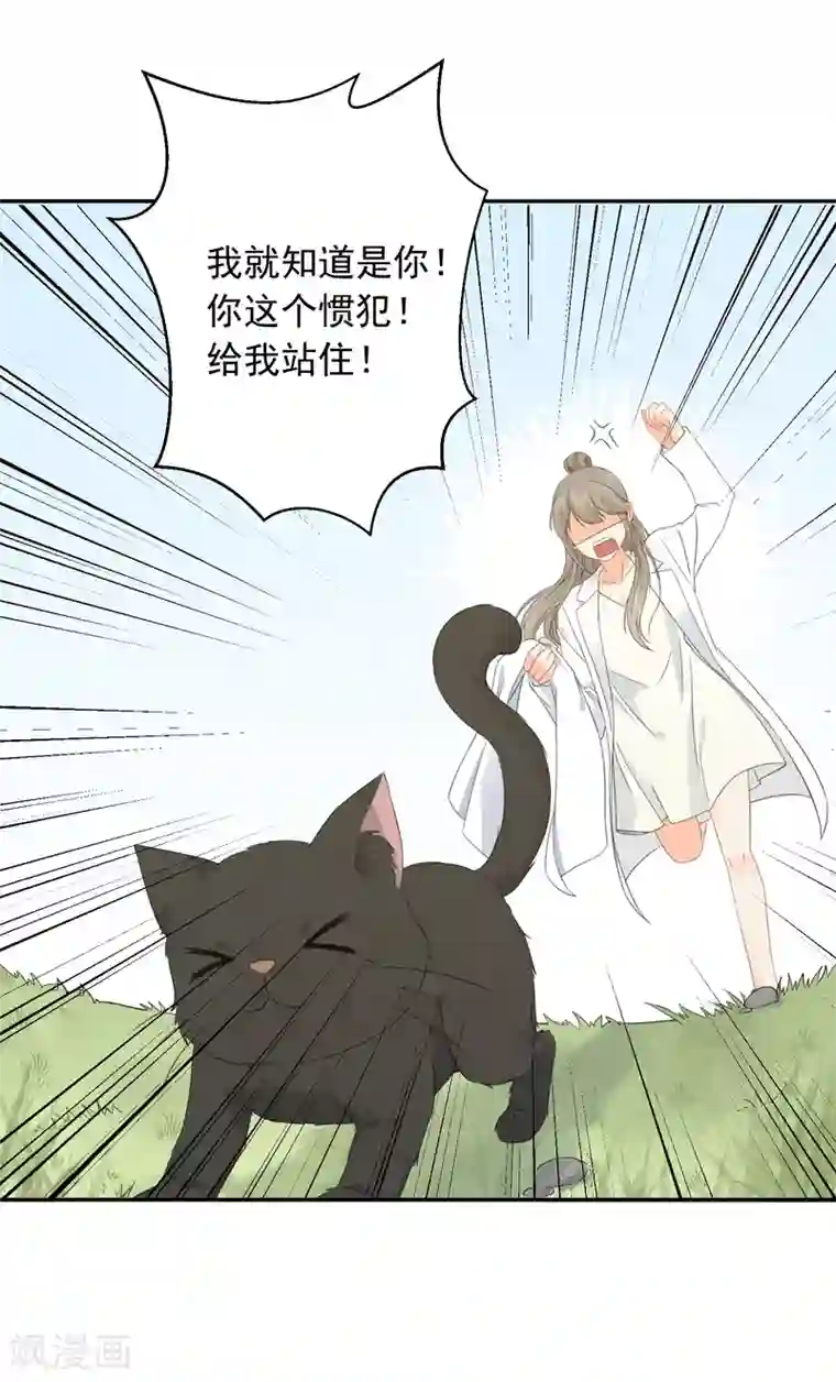 宠物情缘第33话 迷上蠢女人