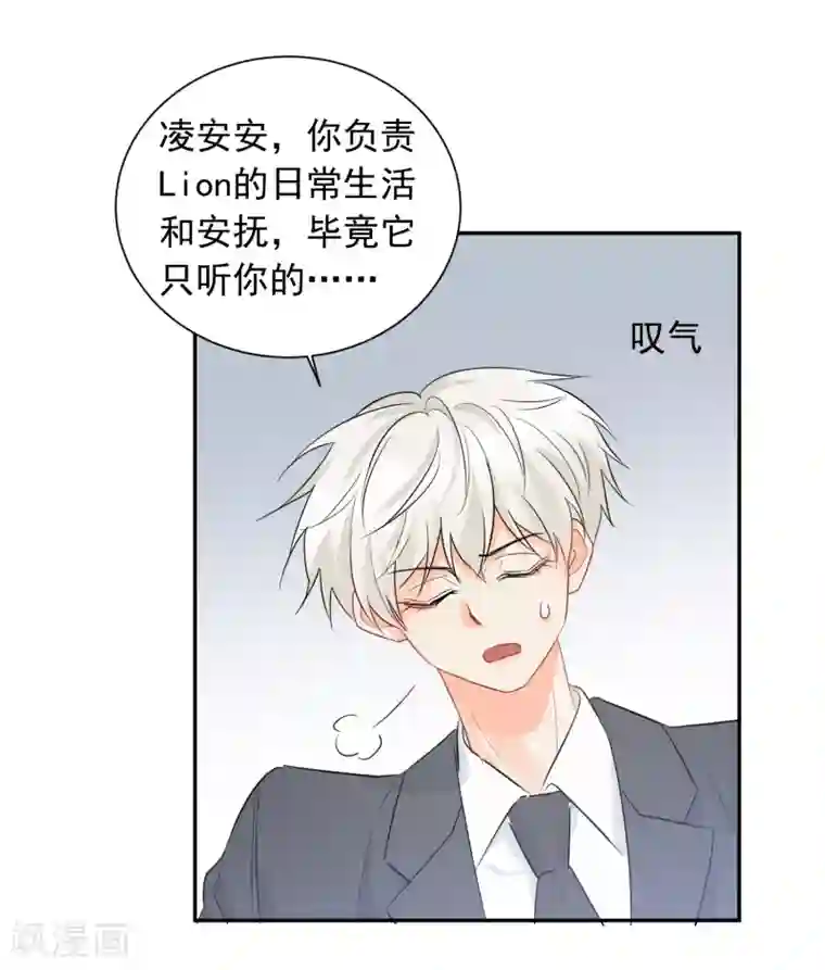 宠物情缘第34话 不靠谱伙伴