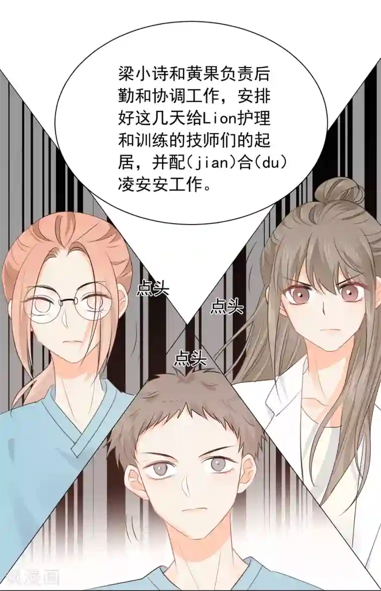 宠物情缘第34话 不靠谱伙伴