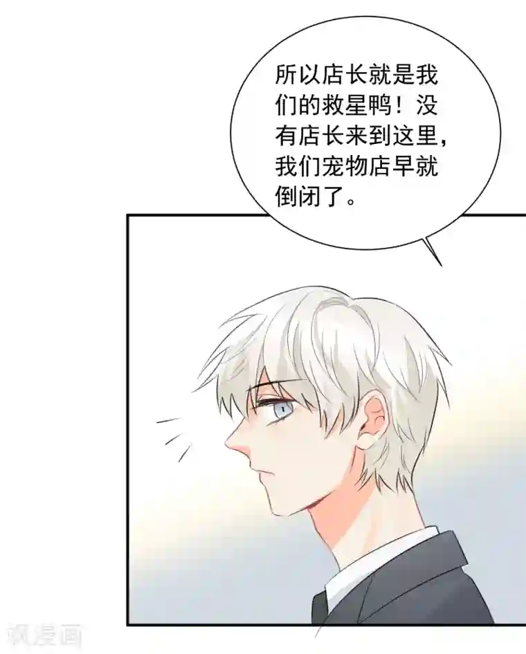 宠物情缘第34话 不靠谱伙伴