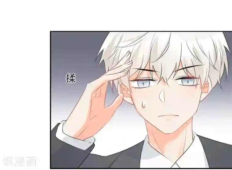 宠物情缘第34话 不靠谱伙伴