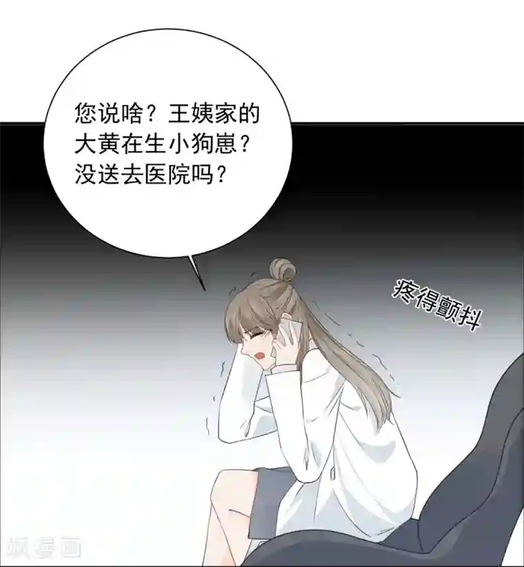 宠物情缘第35话 认真的女人很美