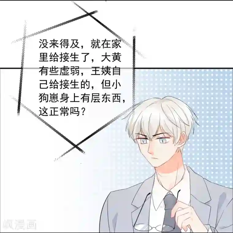 宠物情缘第35话 认真的女人很美