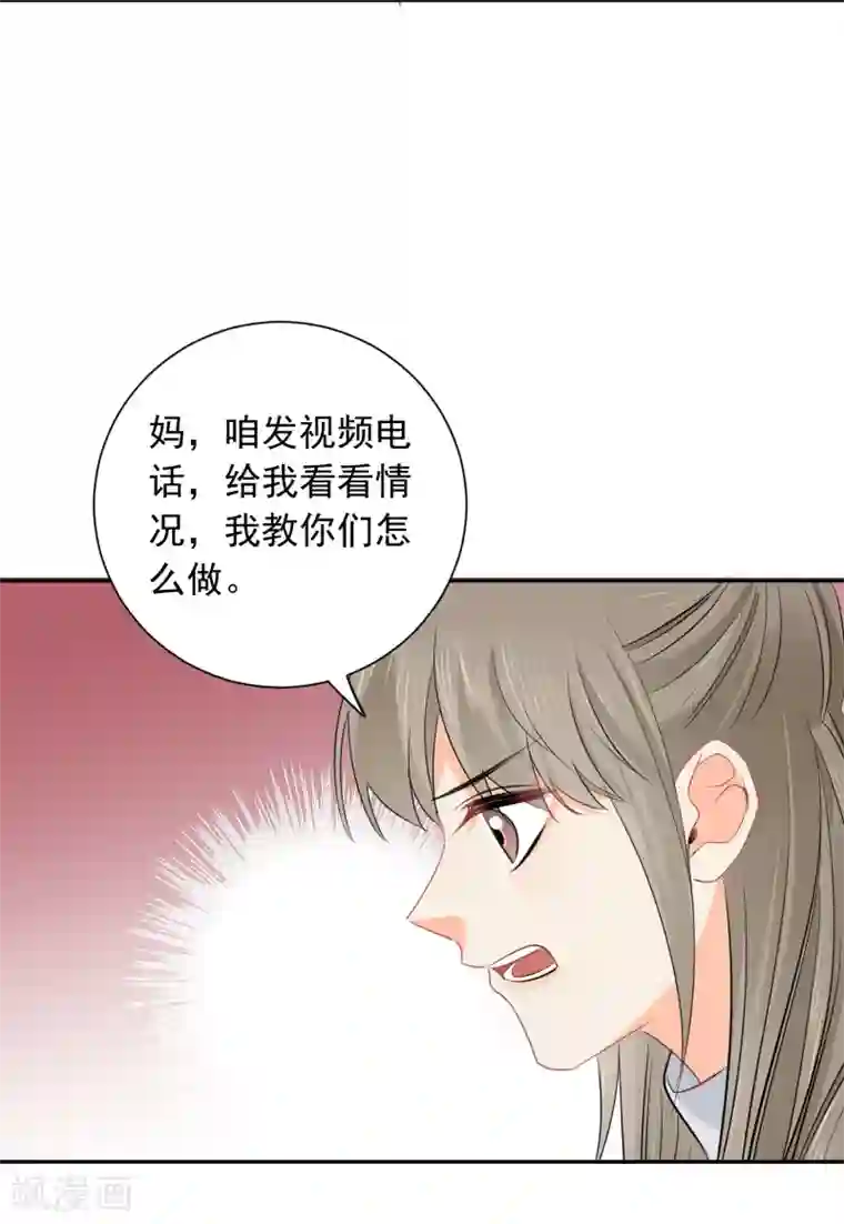 宠物情缘第35话 认真的女人很美