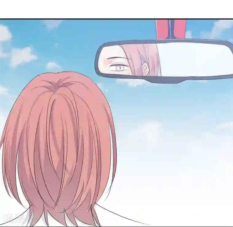 宠物情缘第35话 认真的女人很美