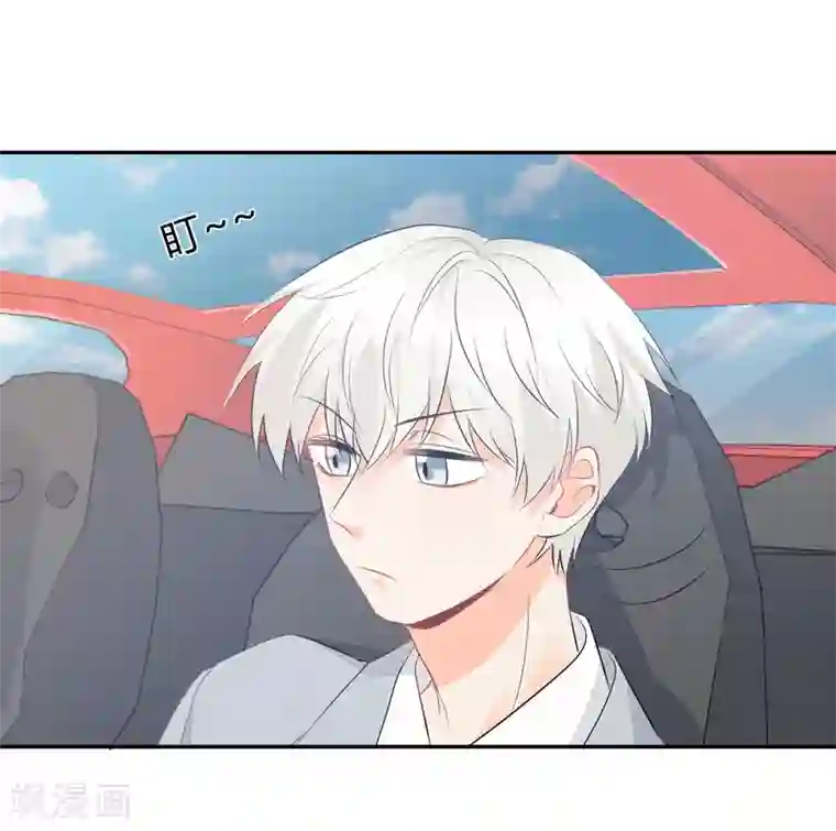 宠物情缘第35话 认真的女人很美