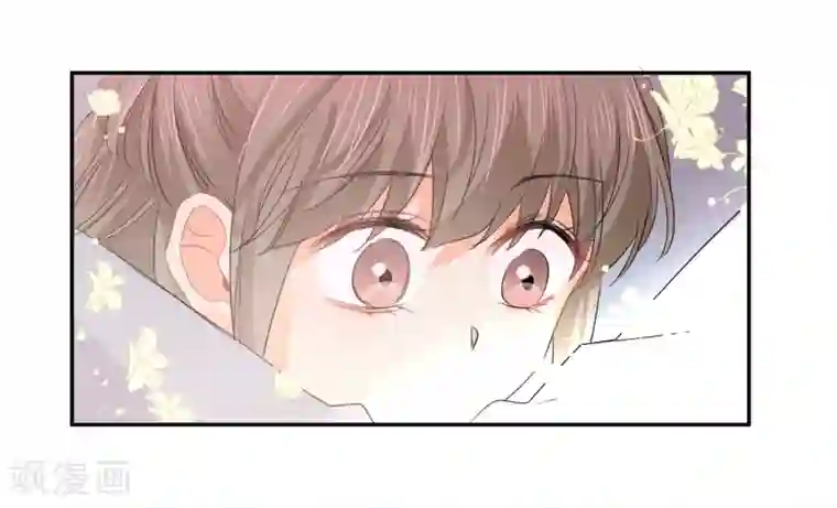 宠物情缘第36话 睡你大腿