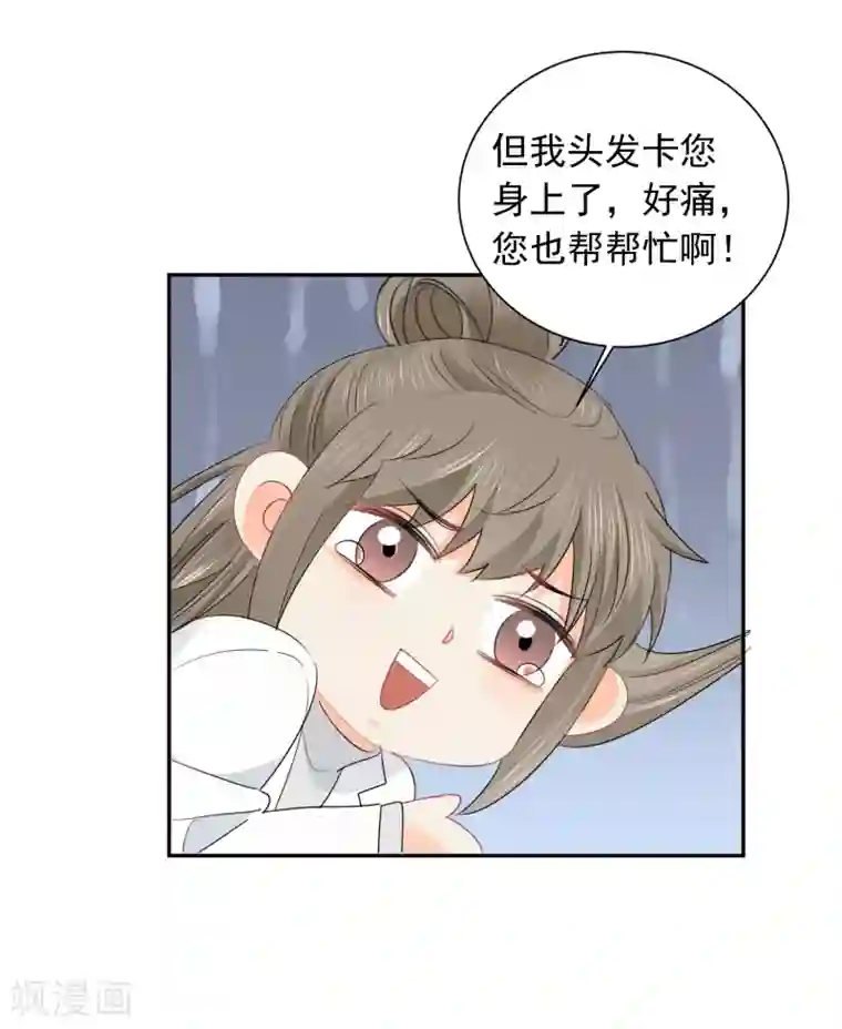 宠物情缘第36话 睡你大腿