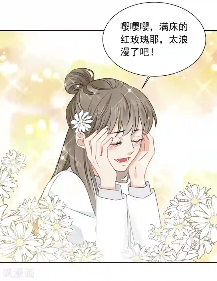 宠物情缘第38话 浪漫定制